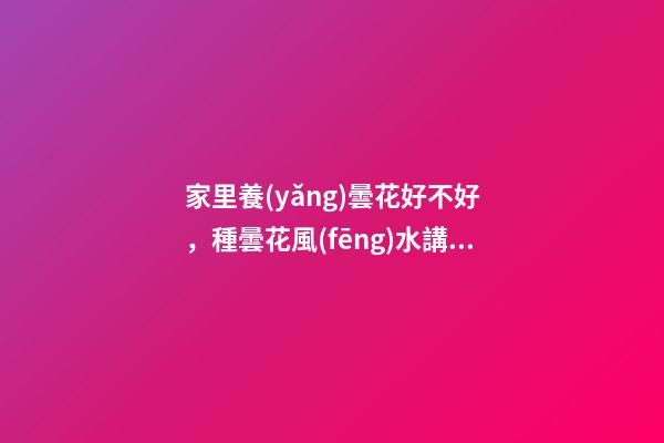 家里養(yǎng)曇花好不好，種曇花風(fēng)水講究